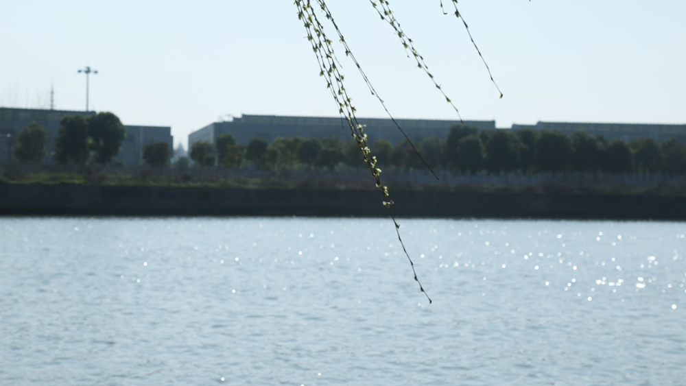 新城【眾象風采】三月暖春踏青燒烤游記