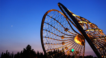 新城眾象雕塑：雕塑的分類